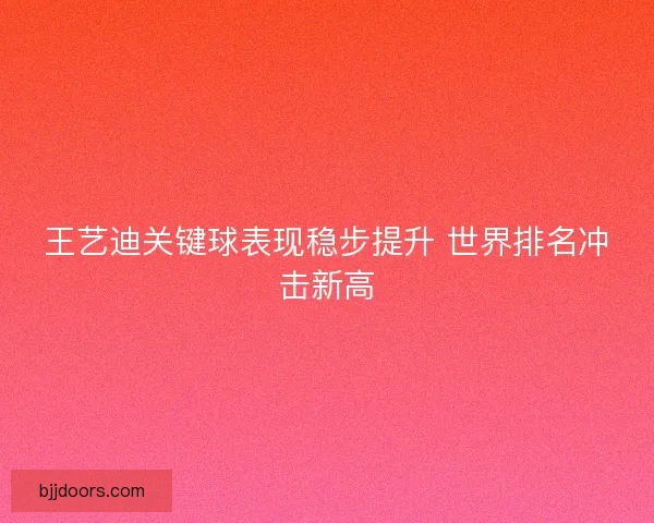 王艺迪关键球表现稳步提升 世界排名冲击新高